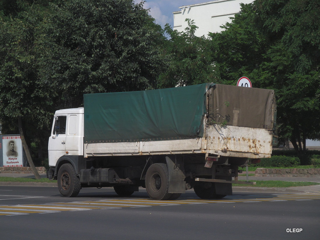 Витебская область, № ВМ 3442 — МАЗ-5336 (общая модель)