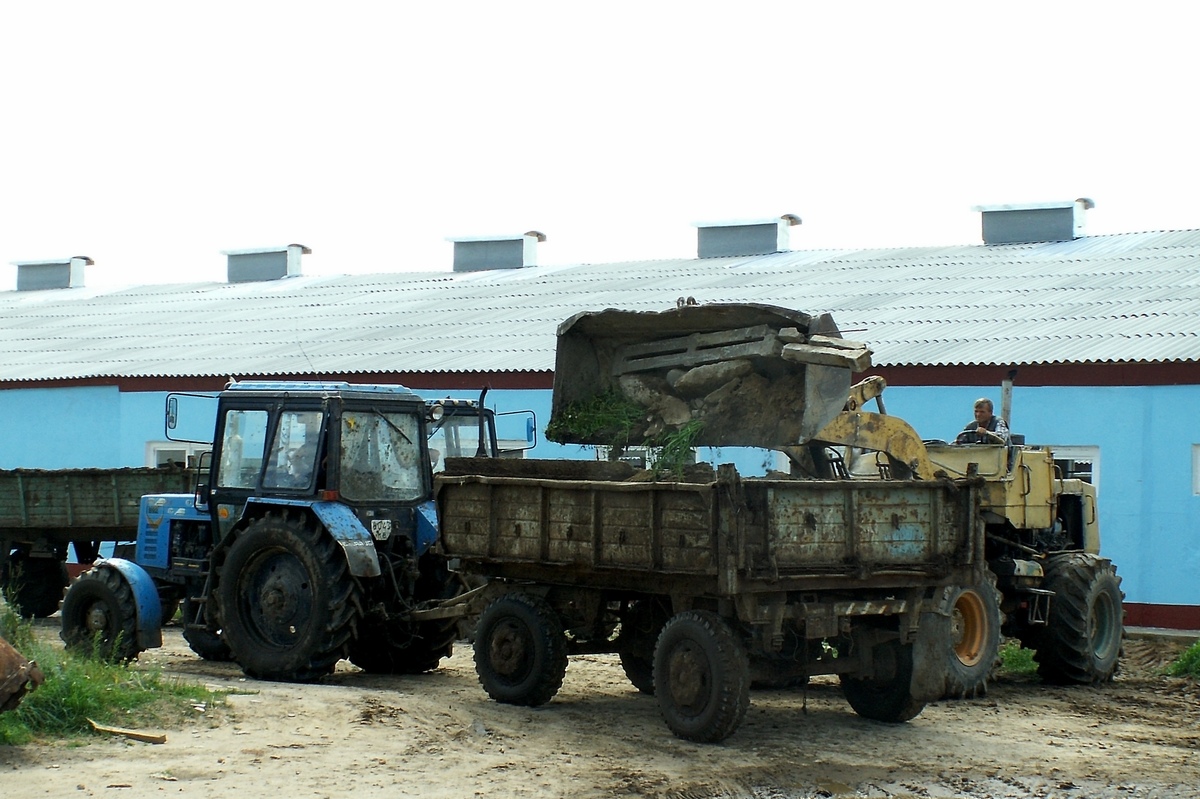 Могилёвская область, № (BY-6) Б/Н СТ 0135 — Т-156К; Могилёвская область, № 8043 МВ — Беларус-892