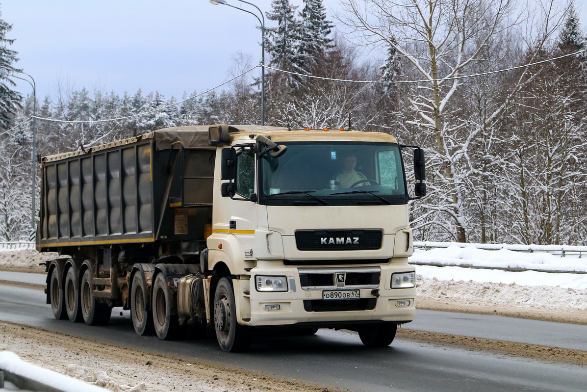 Ленинградская область, № О 890 ОВ 47 — КамАЗ-65206-T5