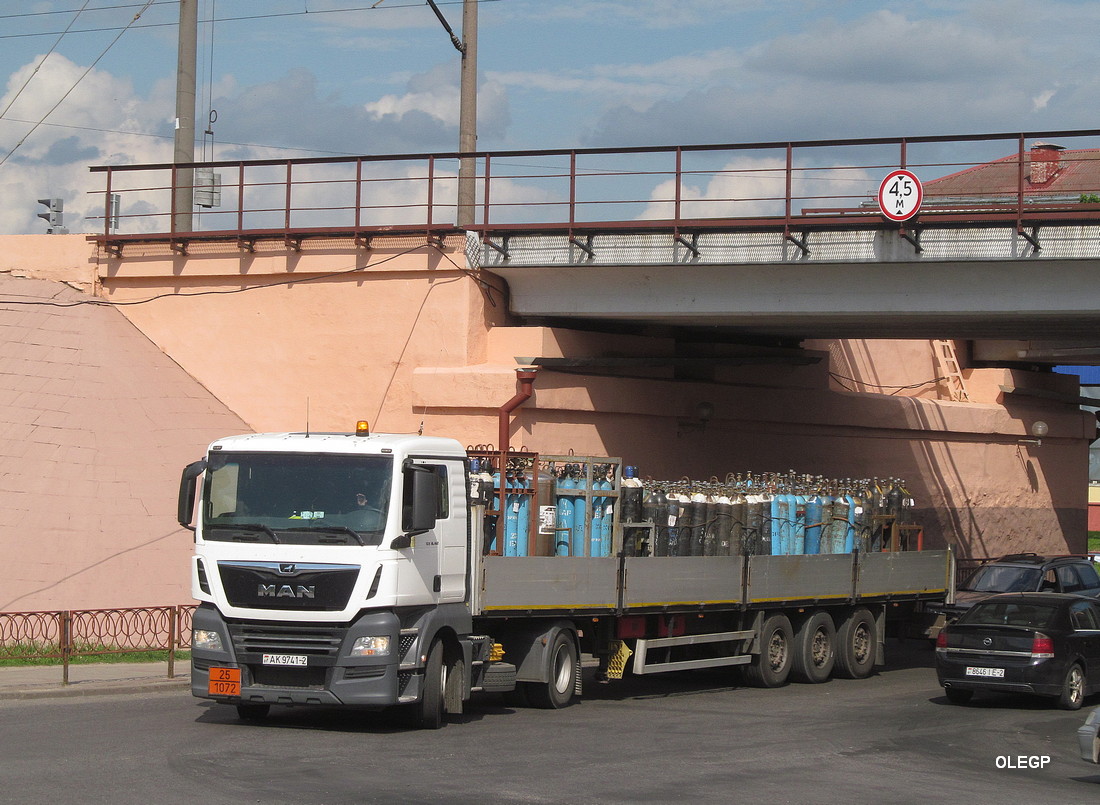 Витебская область, № АК 9741-2 — MAN TGX ('2016) 18.460