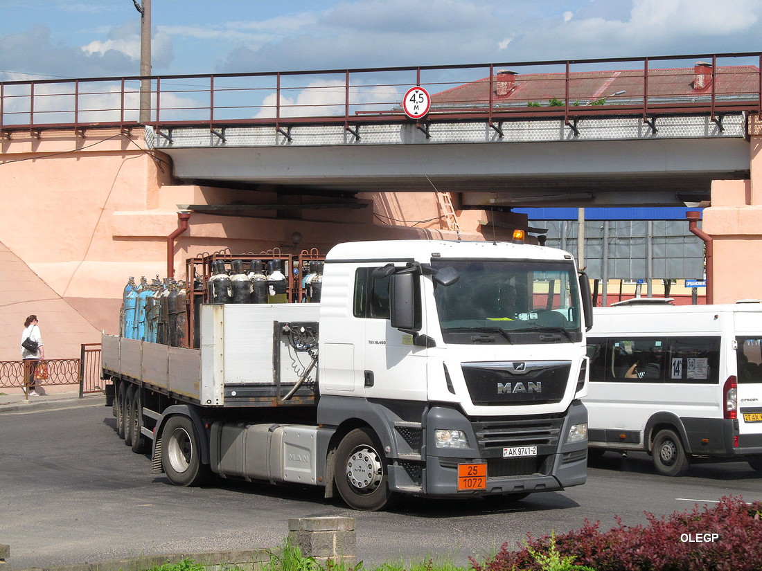 Витебская область, № АК 9741-2 — MAN TGX ('2016) 18.460