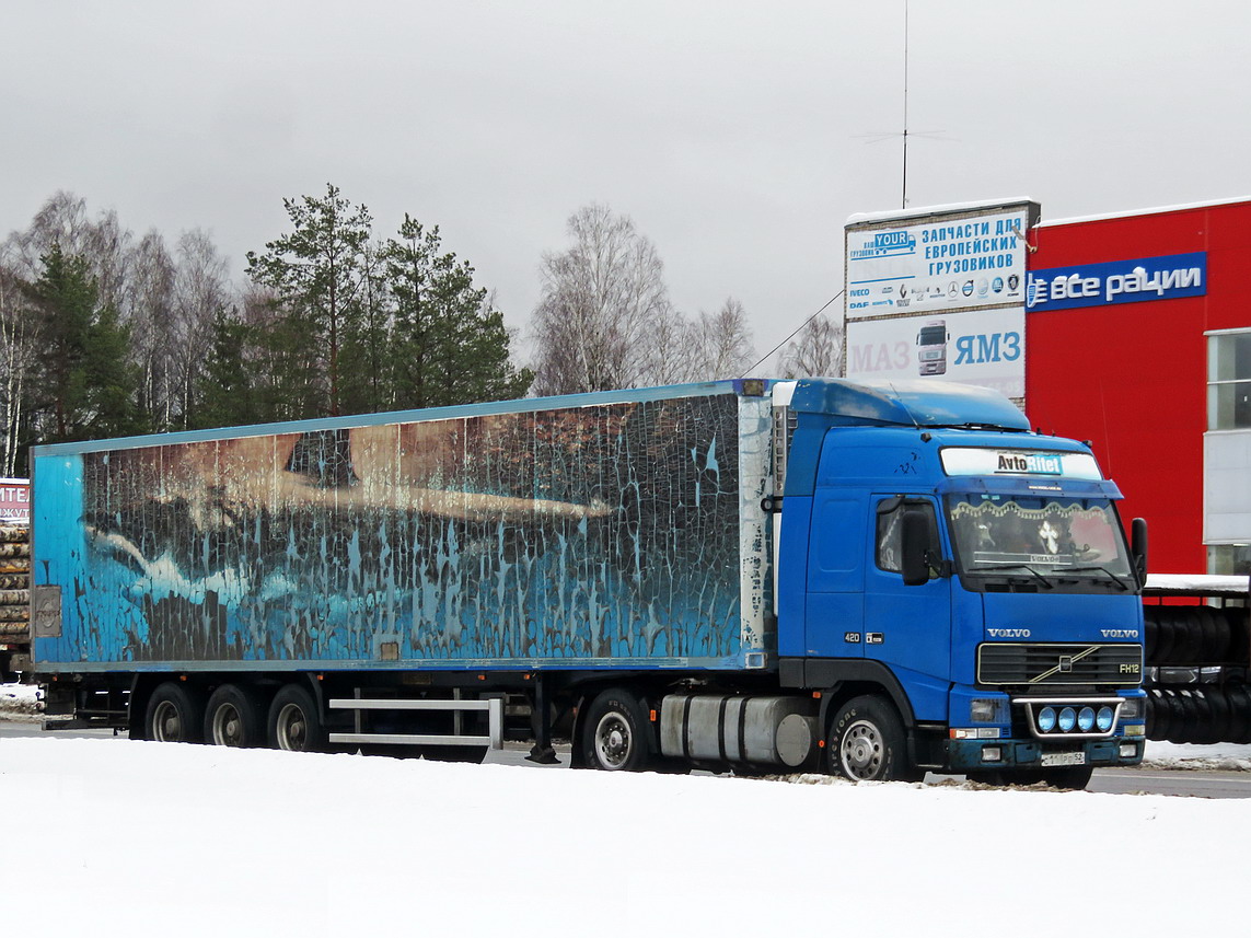 Нижегородская область — Автомобили с нечитаемыми (неизвестными) номерами