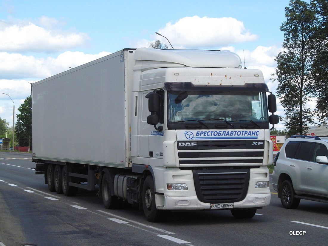 Брестская область, № АЕ 4805-1 — DAF XF105 FT