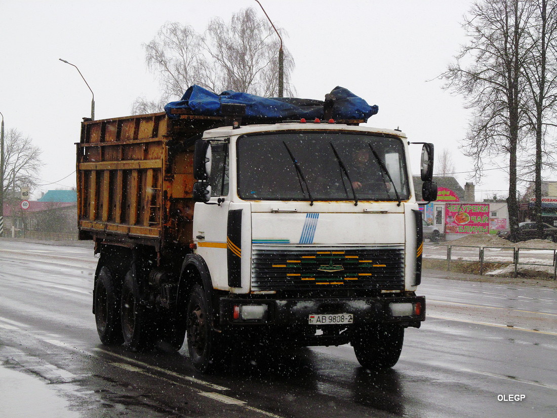 Витебская область, № АВ 9808-2 — МАЗ-5516 (общая модель)