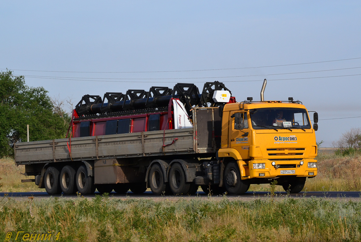 Саратовская область, № А 231 АН 164 — КамАЗ-65116-A4