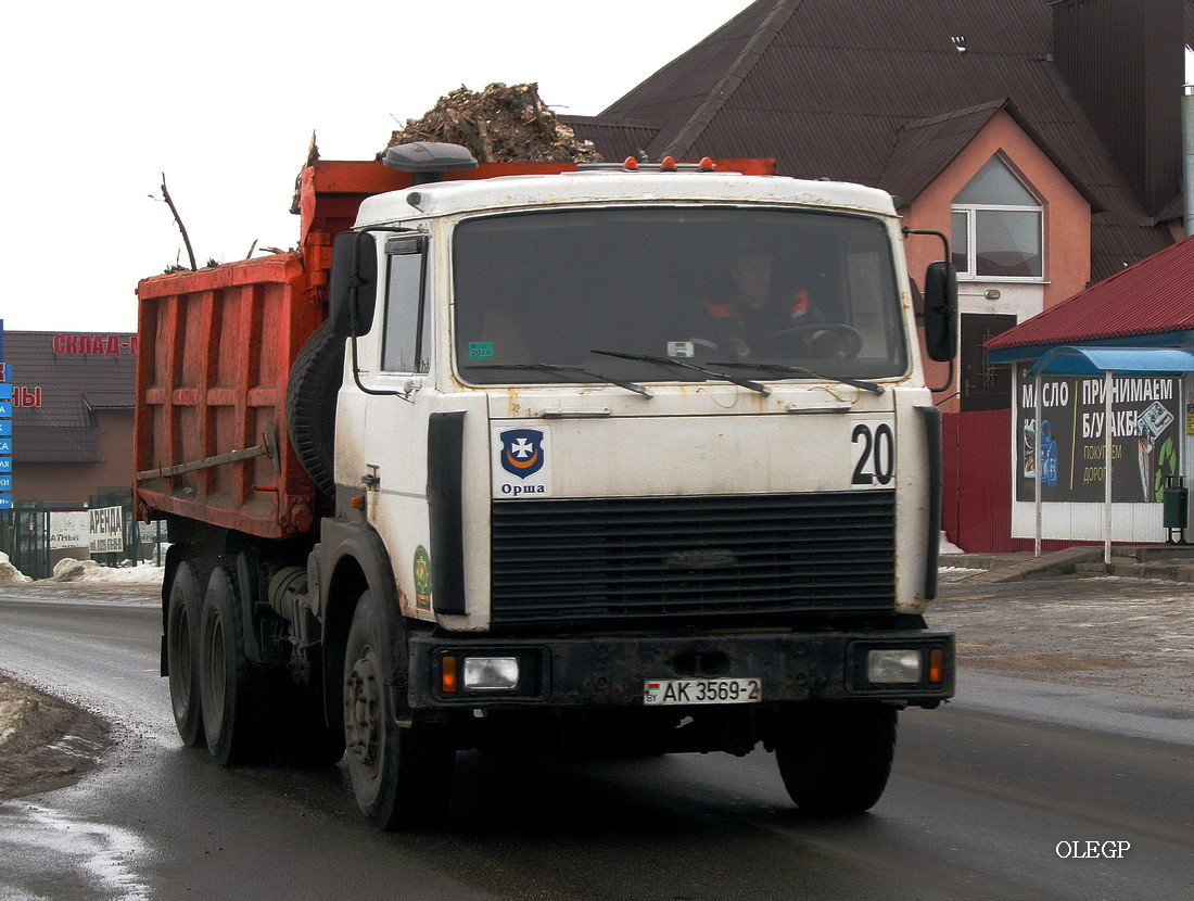 Витебская область, № 20 — МАЗ-5516 (общая модель)