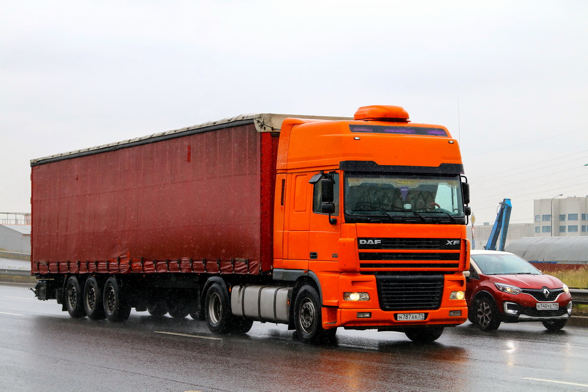 Белгородская область, № Н 787 АА 31 — DAF XF95 FT