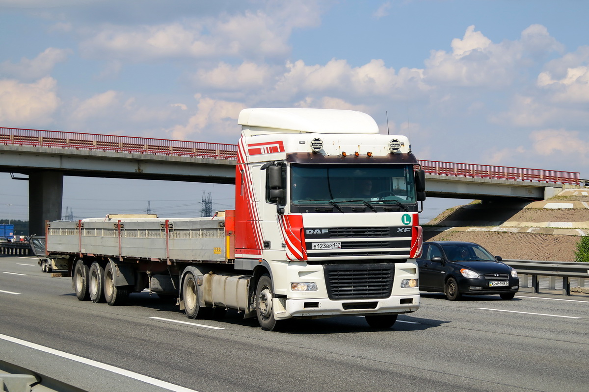 Ленинградская область, № В 123 ВР 147 — DAF XF95 FT