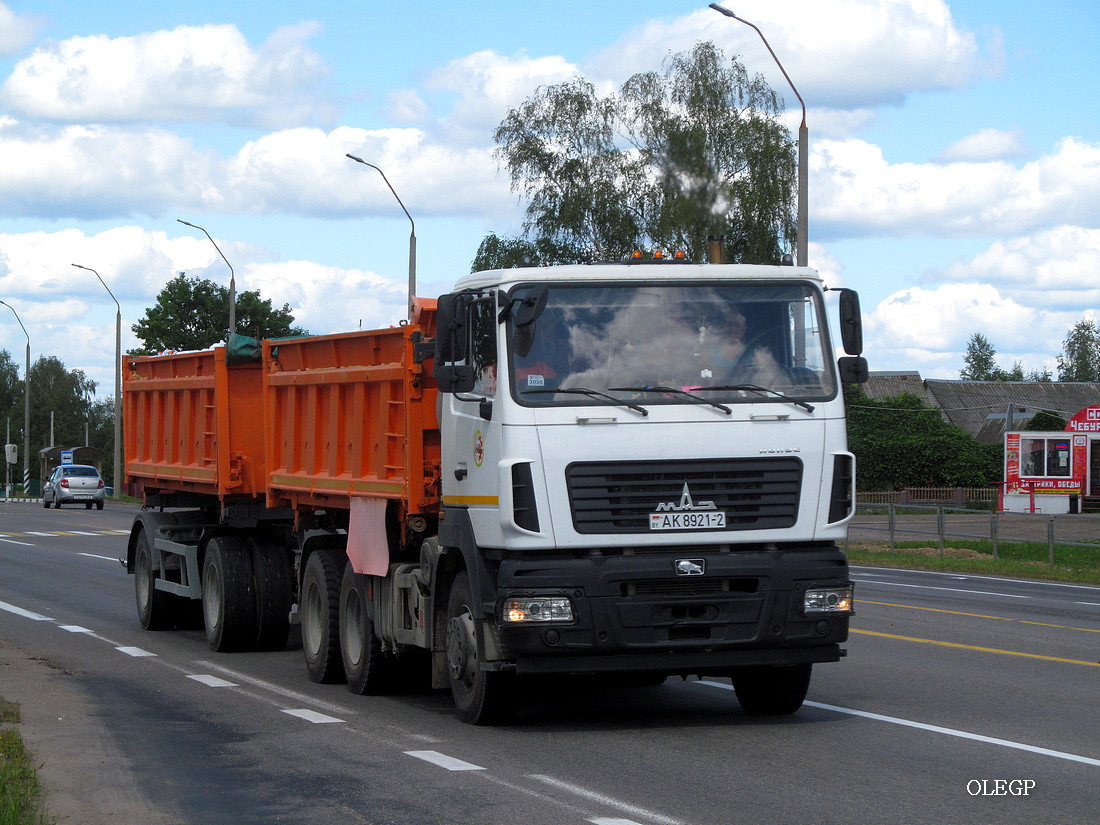 Витебская область, № АК 8921-2 — МАЗ-6501 (общая модель)