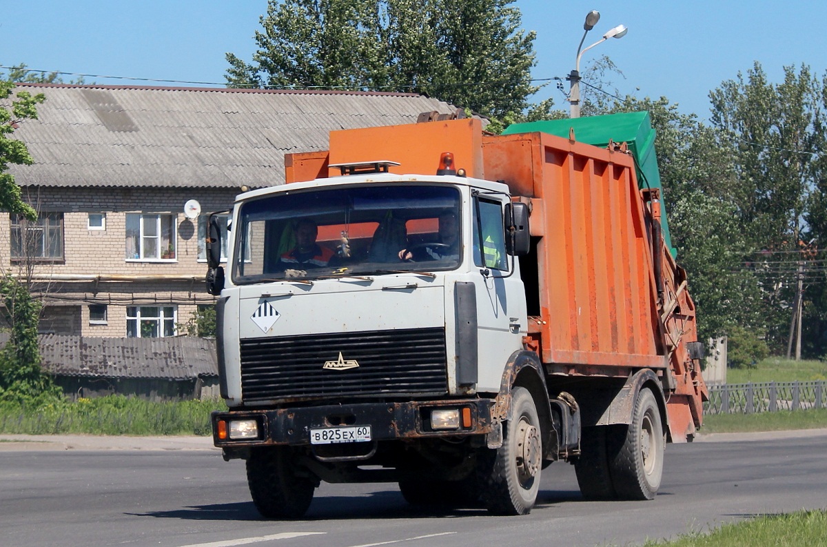 Псковская область, № В 825 ЕХ 60 — МАЗ-533702