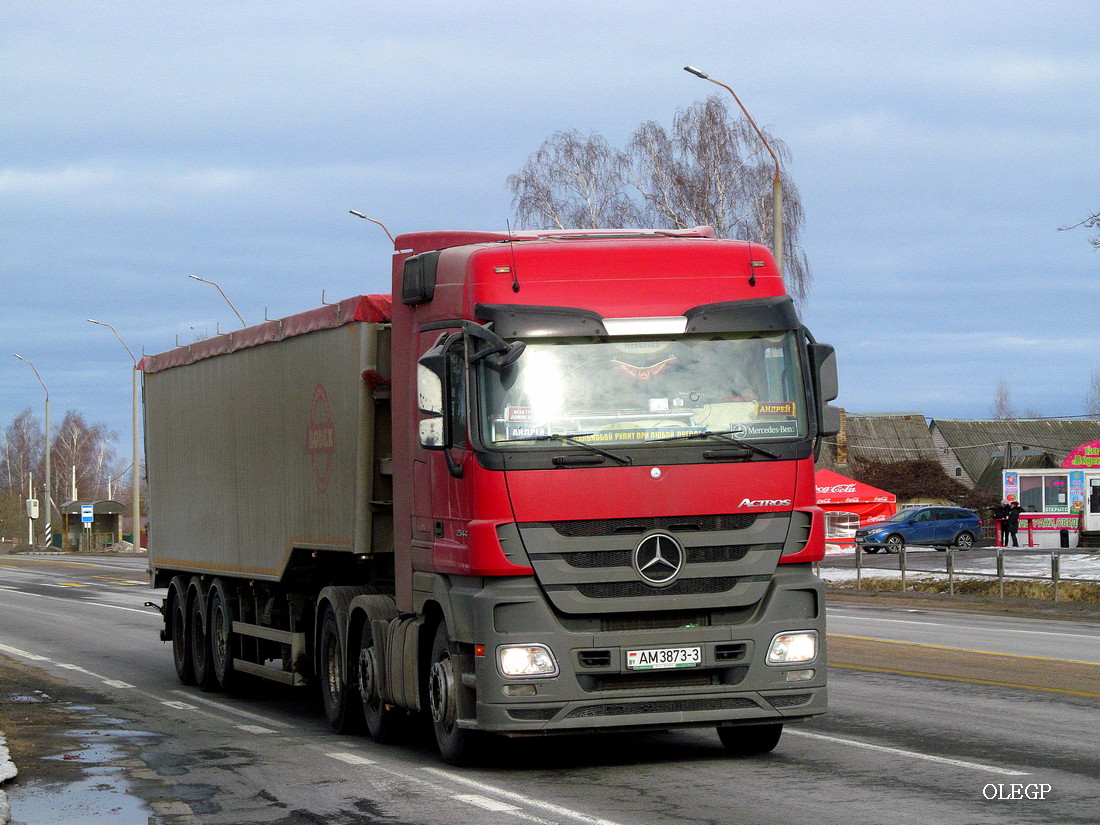 Гомельская область, № АМ 3873-3 — Mercedes-Benz Actros ('2009) 2544