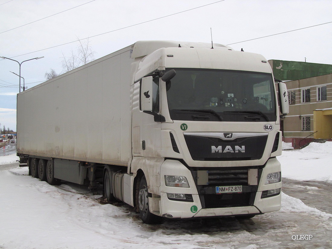 Словения, № NM FZ-870 — MAN TGX ('2016) (Общая модель)