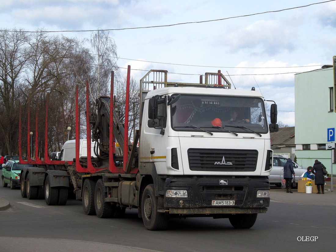 Гомельская область, № АМ 5183-3 — МАЗ-6312 (общая модель)