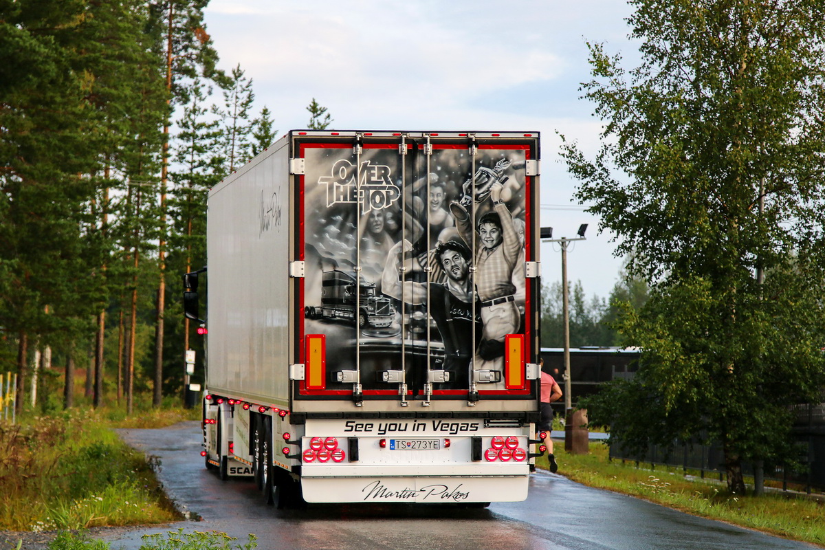 Словакия, № TS-273YE — Schmitz Cargobull S.KO (общая модель)