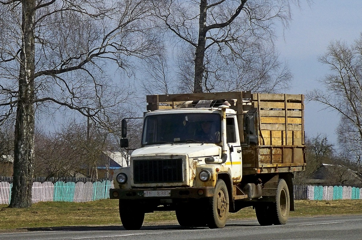 Могилёвская область, № ТЕ 8383 — ГАЗ-3309