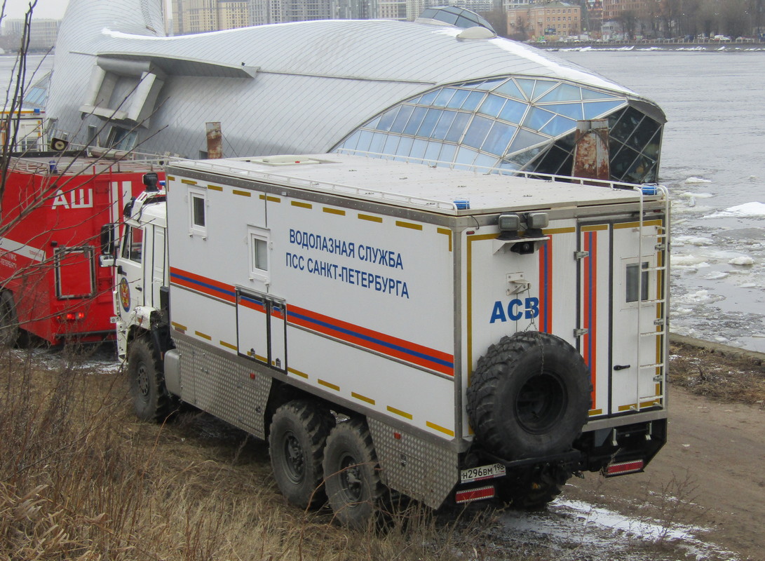 Санкт-Петербург, № Н 296 ВМ 198 — КамАЗ-43118-50