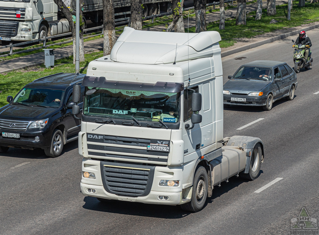 Павлодарская область, № 246 PAZ 14 — DAF XF105 FT