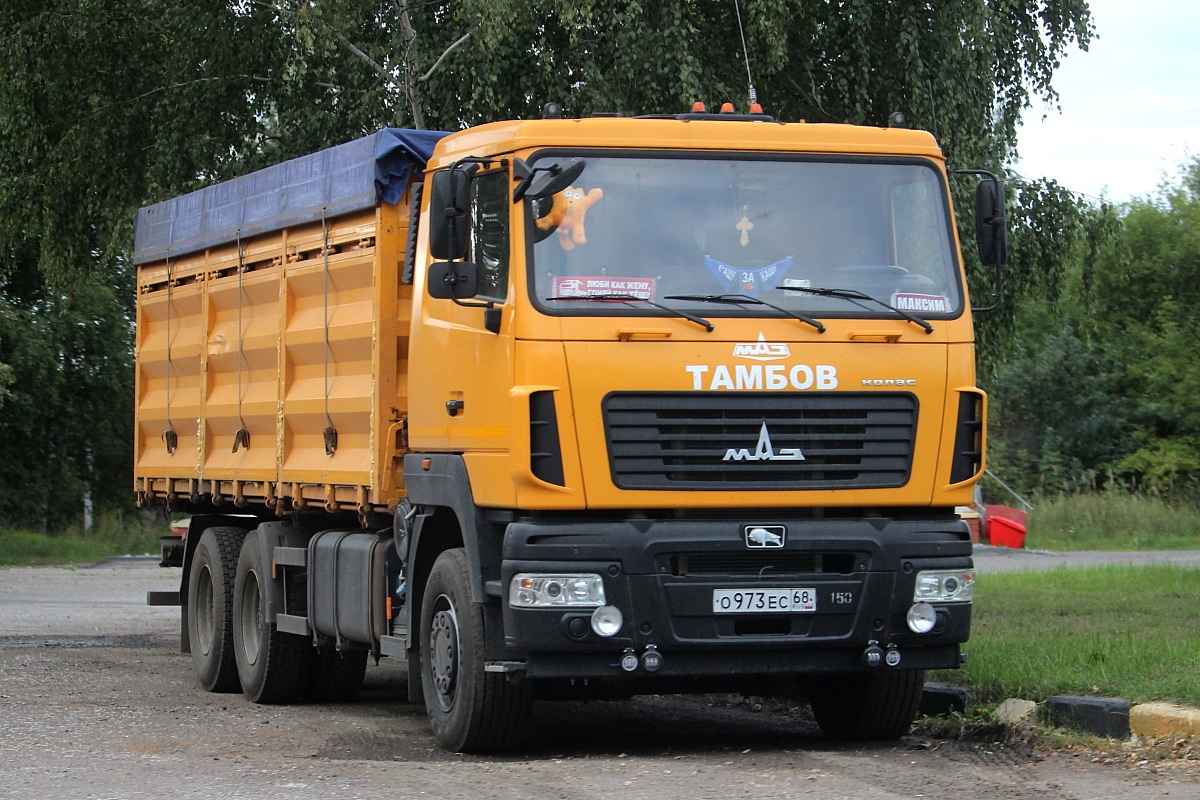 Тамбовская область, № О 973 ЕС 68 — МАЗ-6501C9