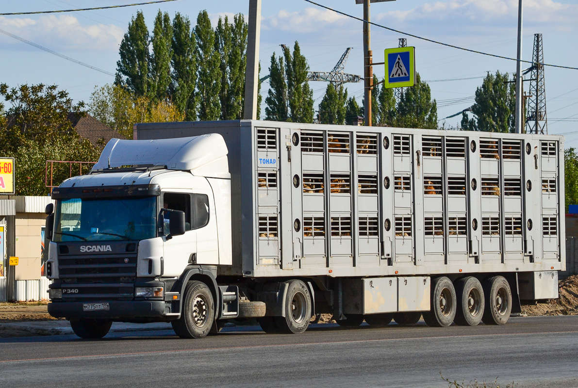 Дагестан, № М 775 ОТ 199 — Scania ('1996) P340