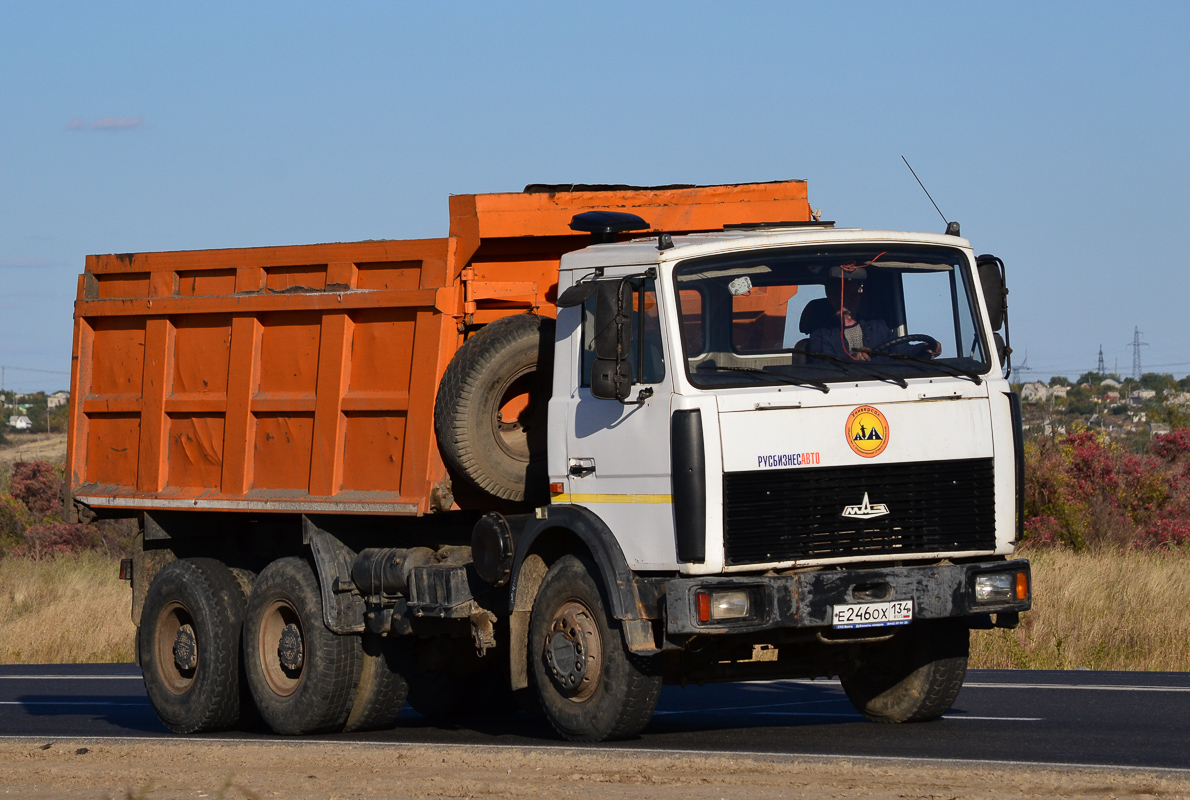 Волгоградская область, № Е 246 ОХ 134 — МАЗ-5516A5