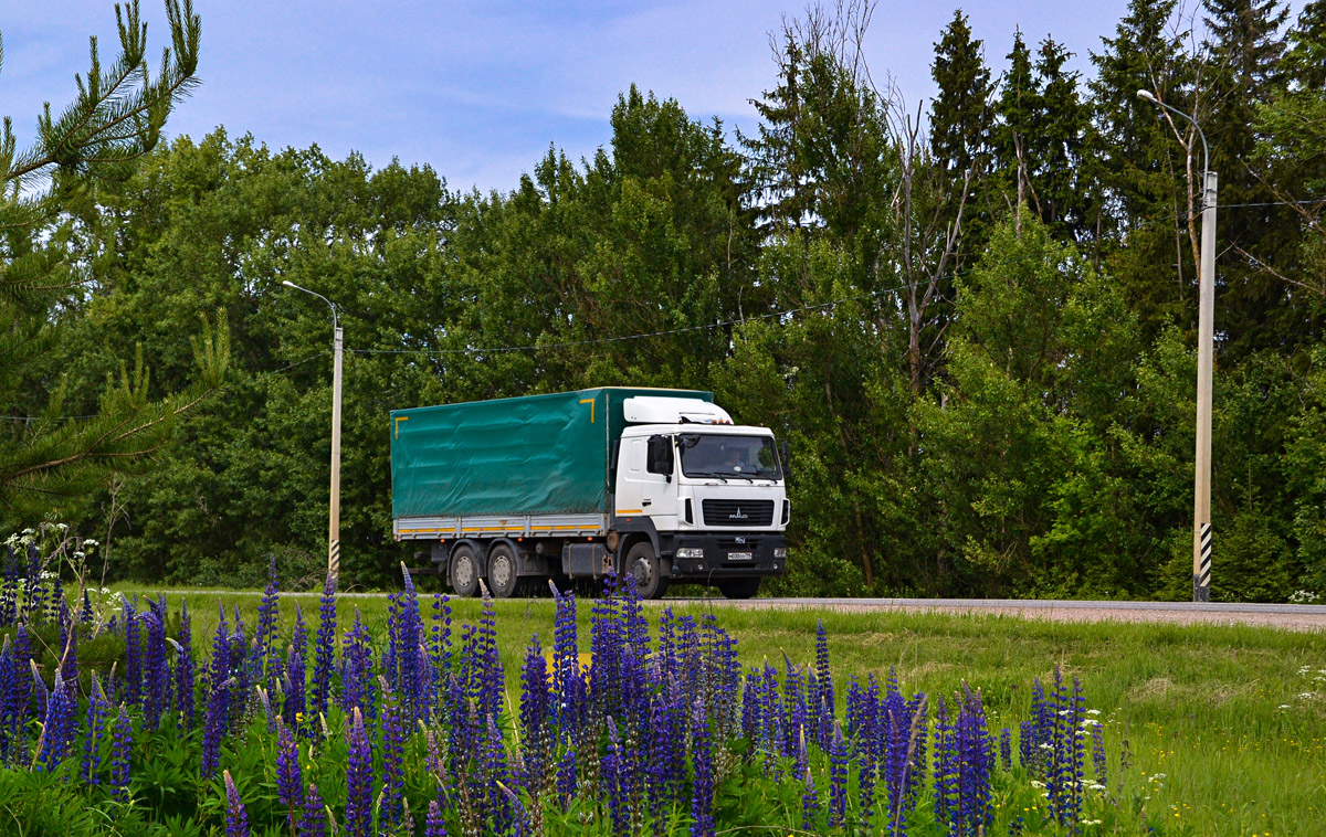 Москва, № М 030 СО 799 — МАЗ-6312B5