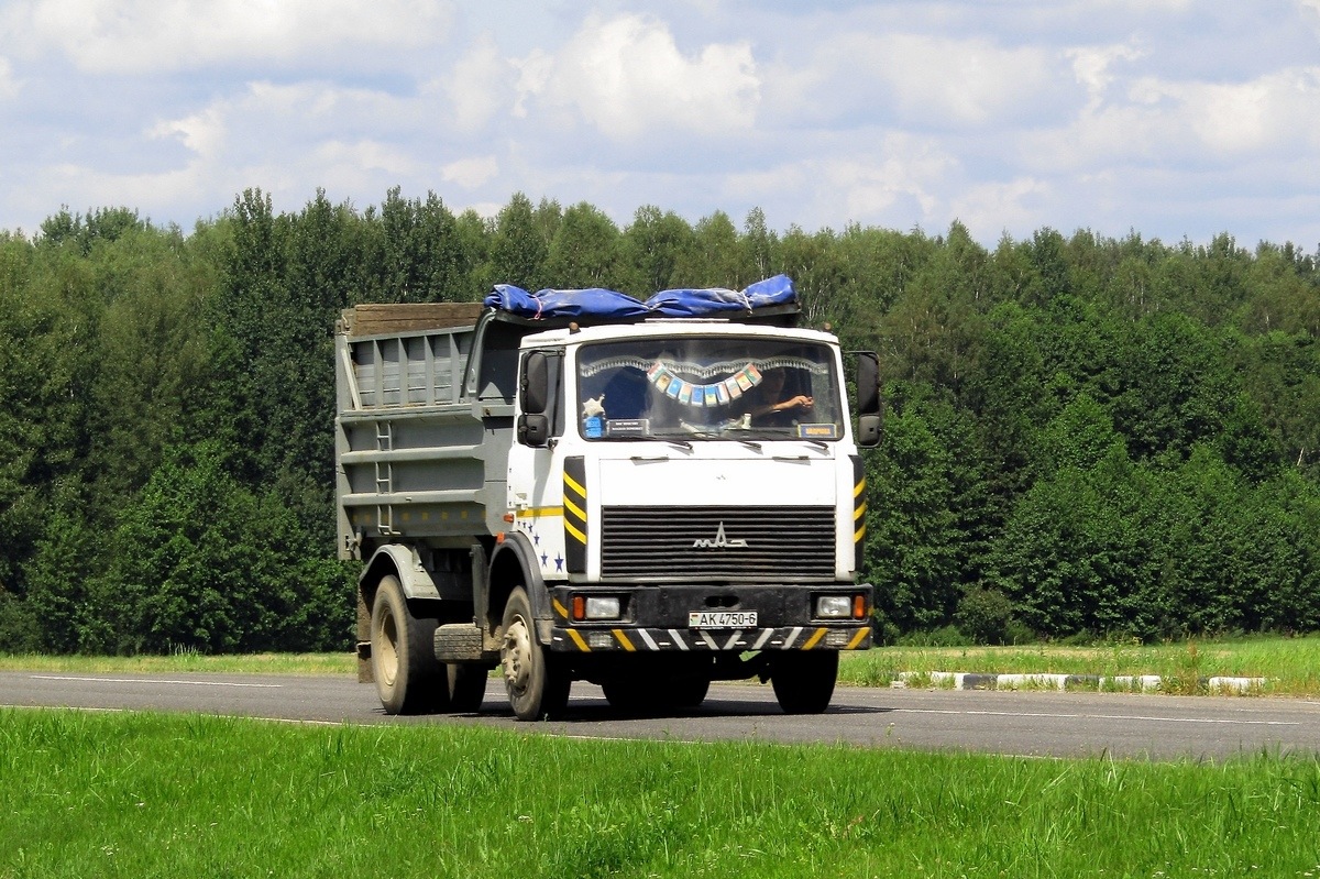 Могилёвская область, № АК 4750-6 — МАЗ-5551 (общая модель)