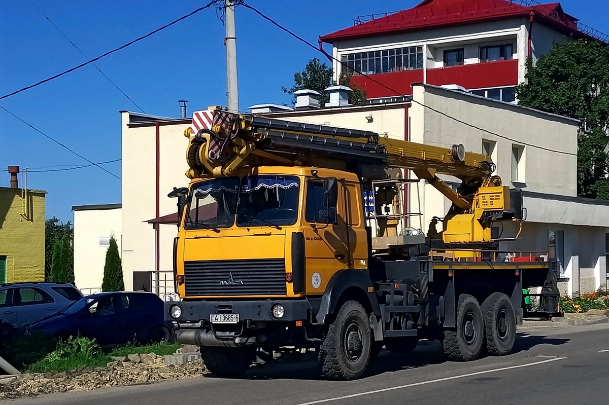 Могилёвская область, № АІ 3685-6 — МАЗ-6317 (общая модель)