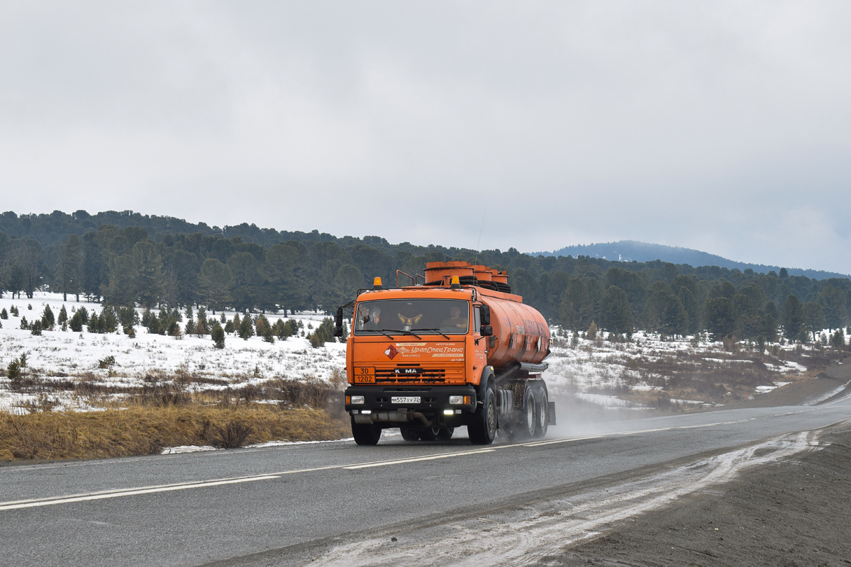 Алтайский край, № М 557 ХУ 22 — КамАЗ-65115-62