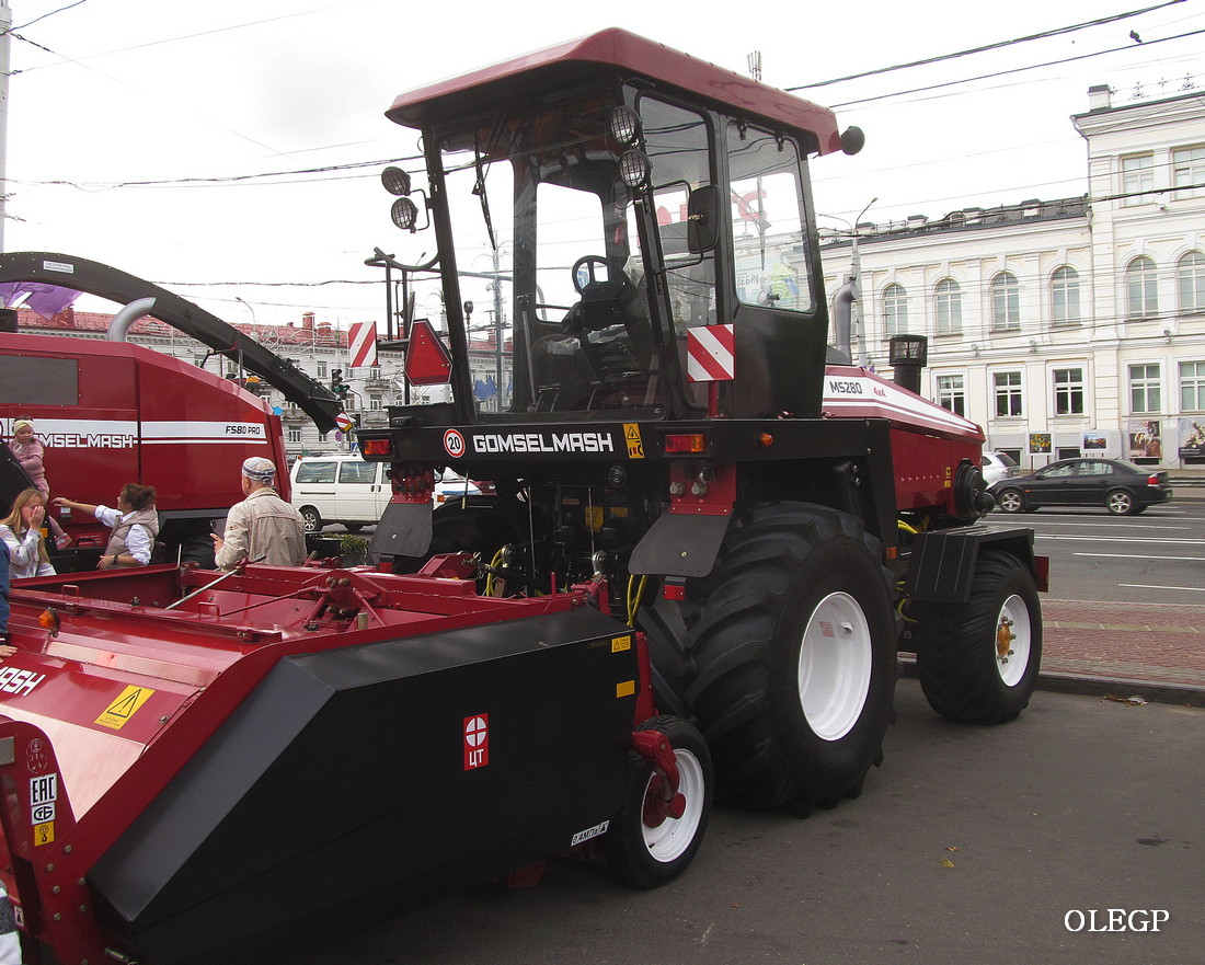 Гомельская область, № (BY-3) Б/Н СТ 0021 — УЭС Полесье (общая модель)