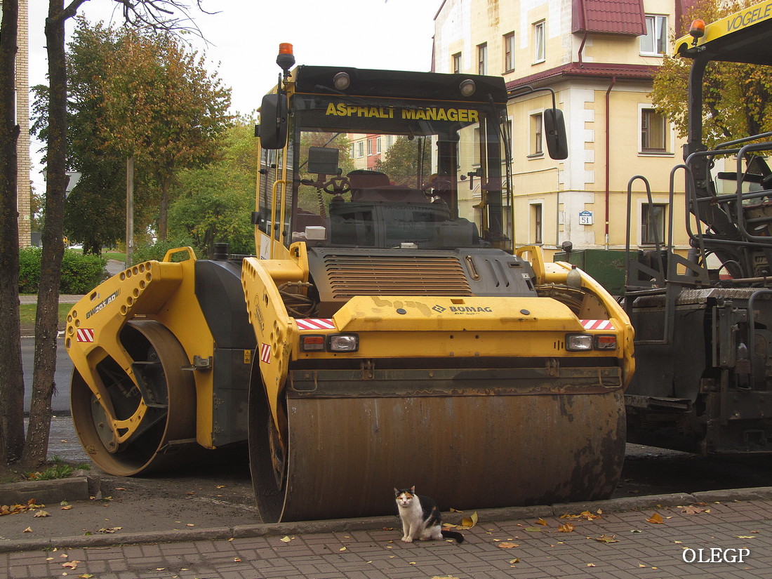 Витебская область, № ВВ-2 6894 — Bomag BW 203 AD