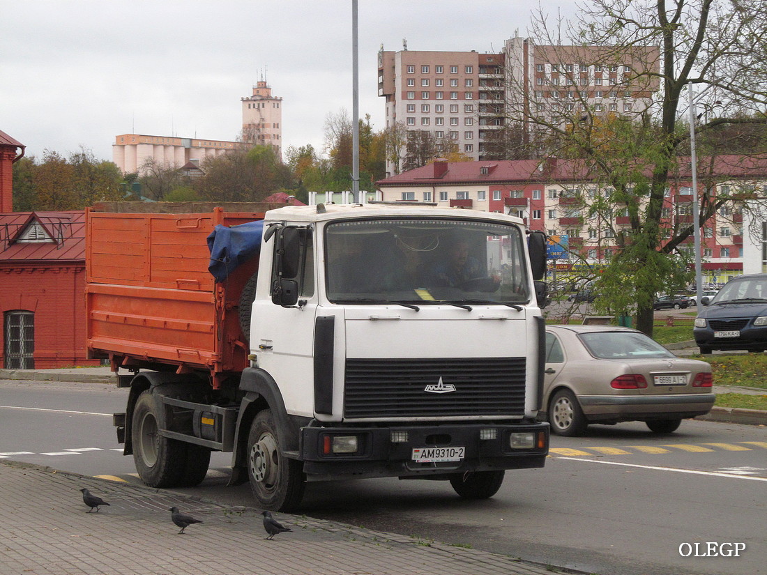 Витебская область, № АМ 9310-2 — МАЗ-4370 (общая модель)