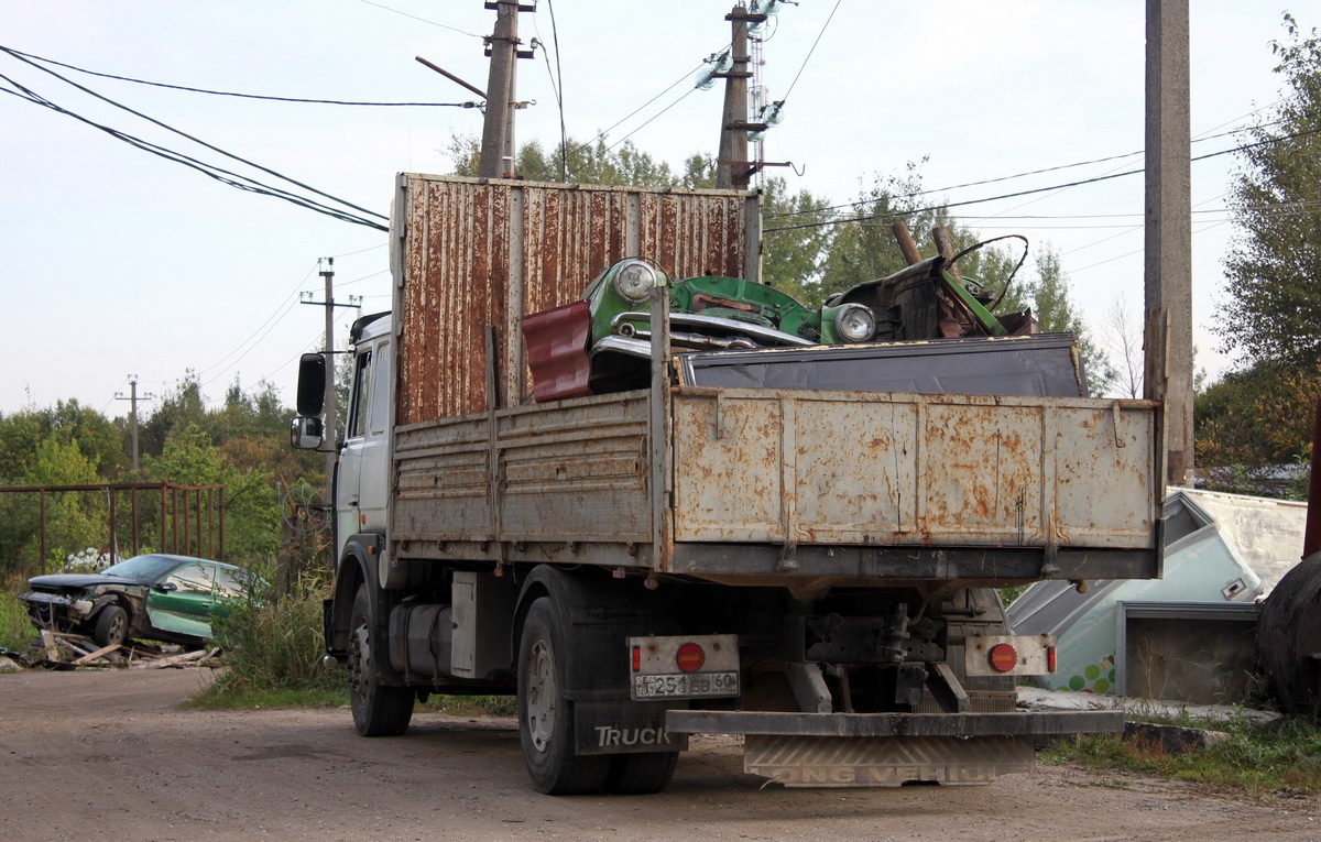 Псковская область, № Т 251 ЕВ 60 — МАЗ-5336A3