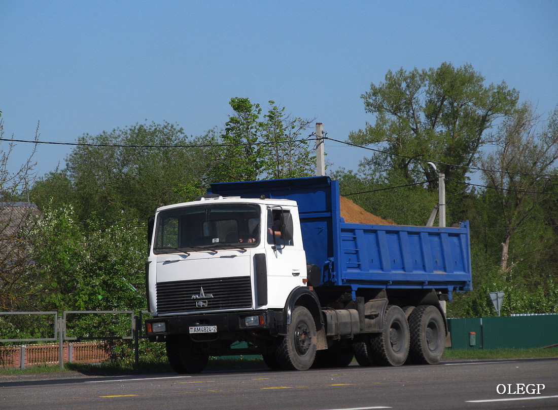 Витебская область, № АМ 4824-2 — МАЗ-5516 (общая модель)