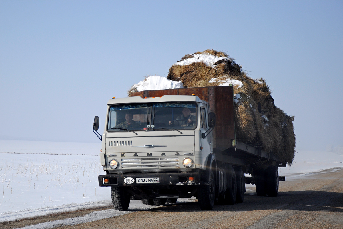 Алтайский край, № Х 137 МА 22 — КамАЗ-53212