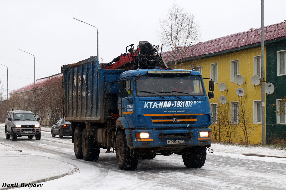 Архангельская область, № М 495 НС 29 — КамАЗ-43118-46