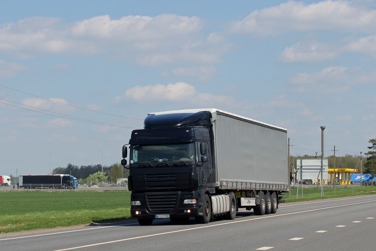 Польша, № WLS 31585 — DAF XF105 FT