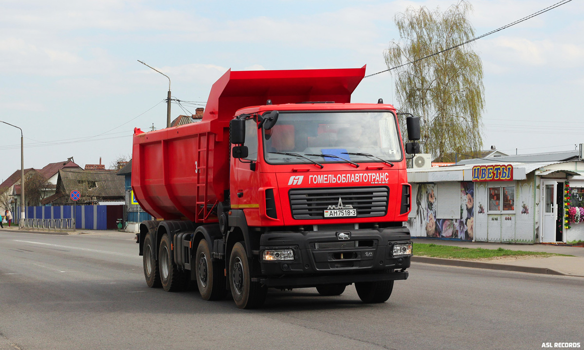 Гомельская область, № АН 7518-3 — МАЗ-6516 (общая модель)