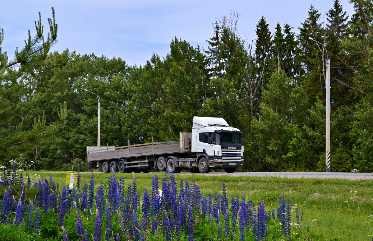 Москва, № О 557 АУ 197 — Scania ('2004, общая модель)