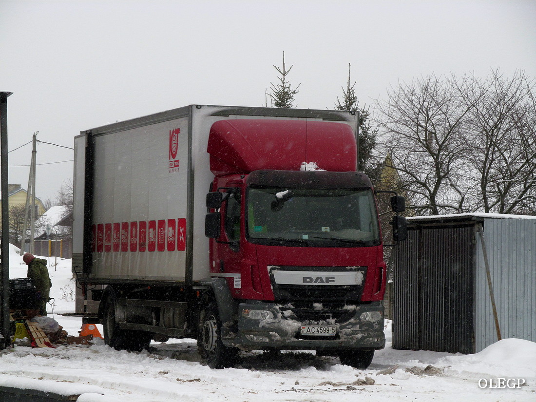 Минская область, № АС 4599-5 — DAF LF Euro6 FA