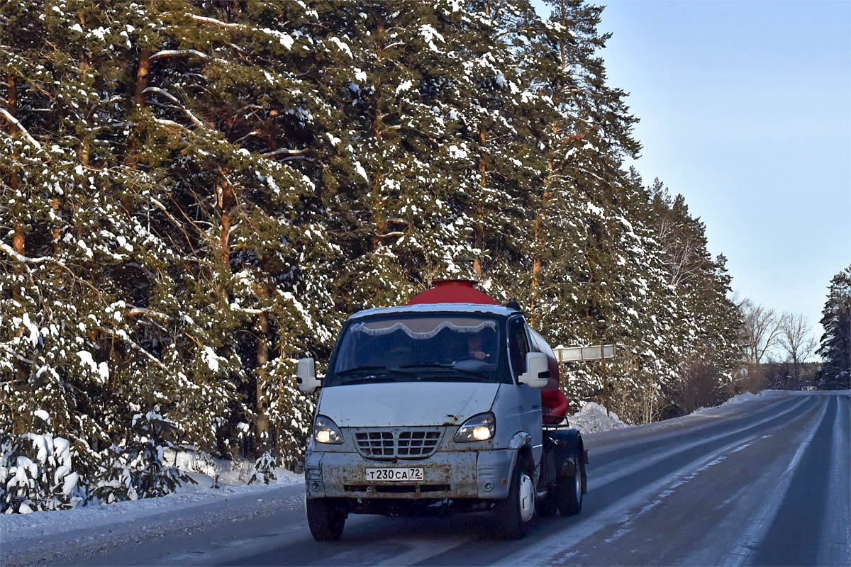 Тюменская область, № Т 230 СА 72 — ГАЗ-33104 "Валдай"