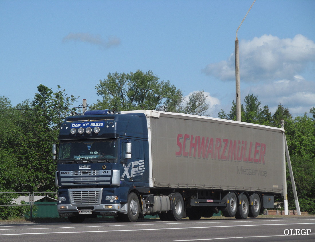 Гомельская область, № АЕ 7501-3 — DAF XF95 FT