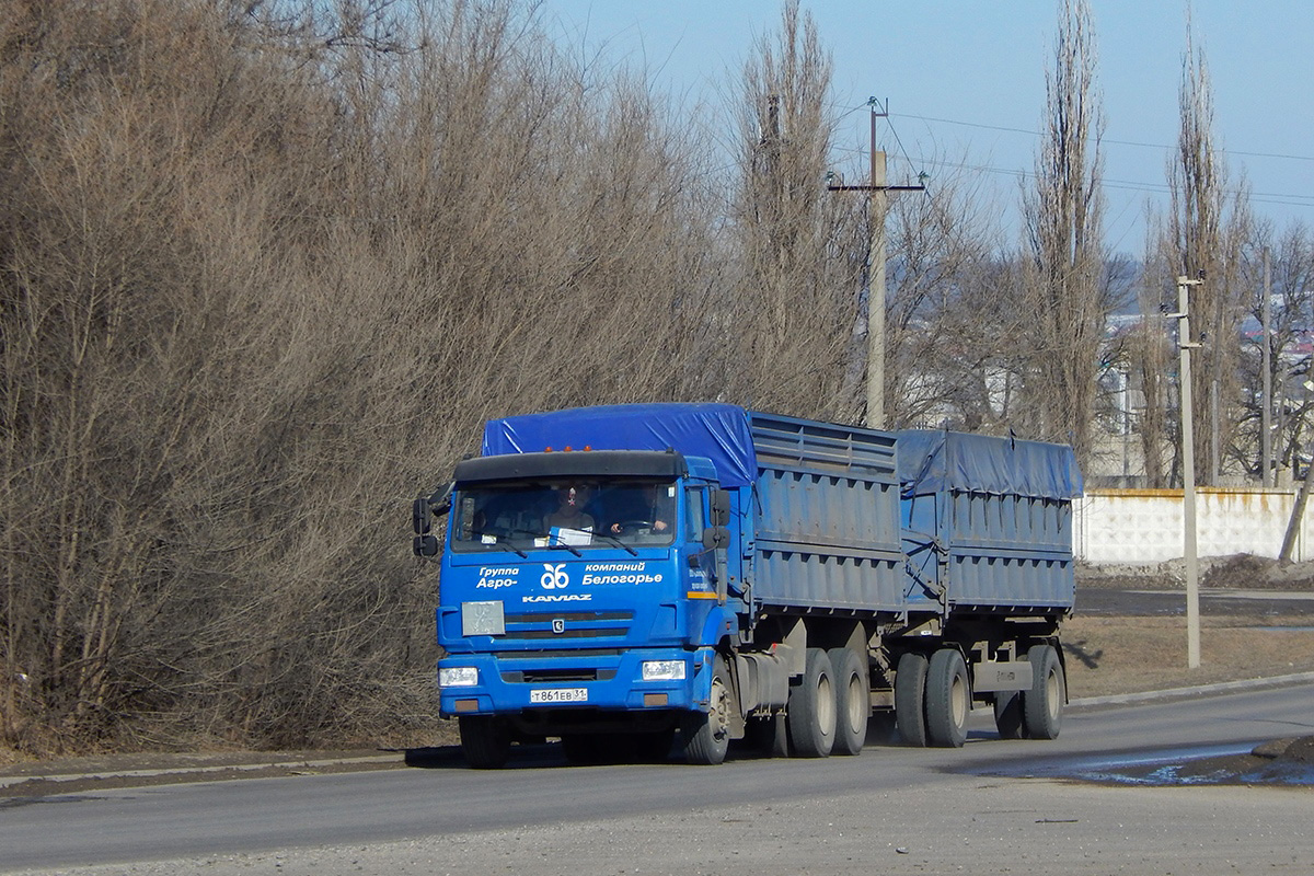 Белгородская область, № Т 861 ЕВ 31 — КамАЗ-65115-24