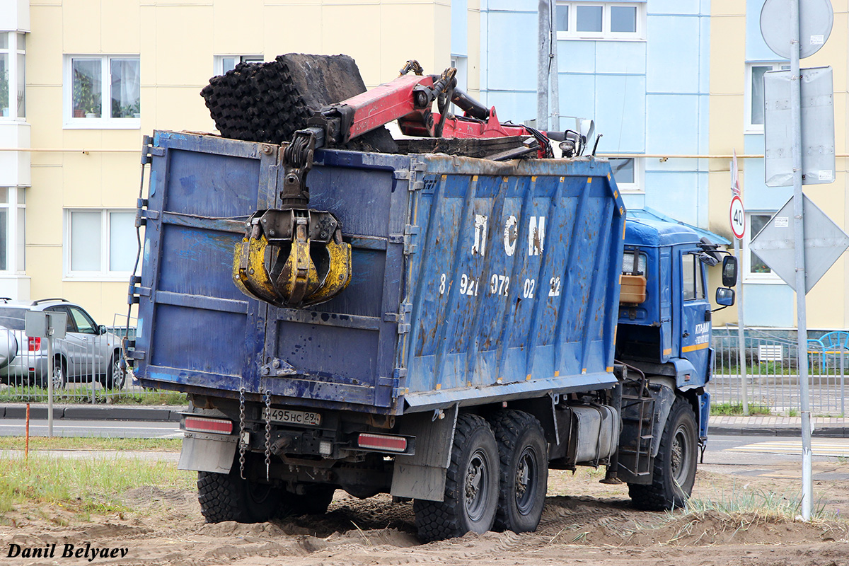 Архангельская область, № М 495 НС 29 — КамАЗ-43118-46