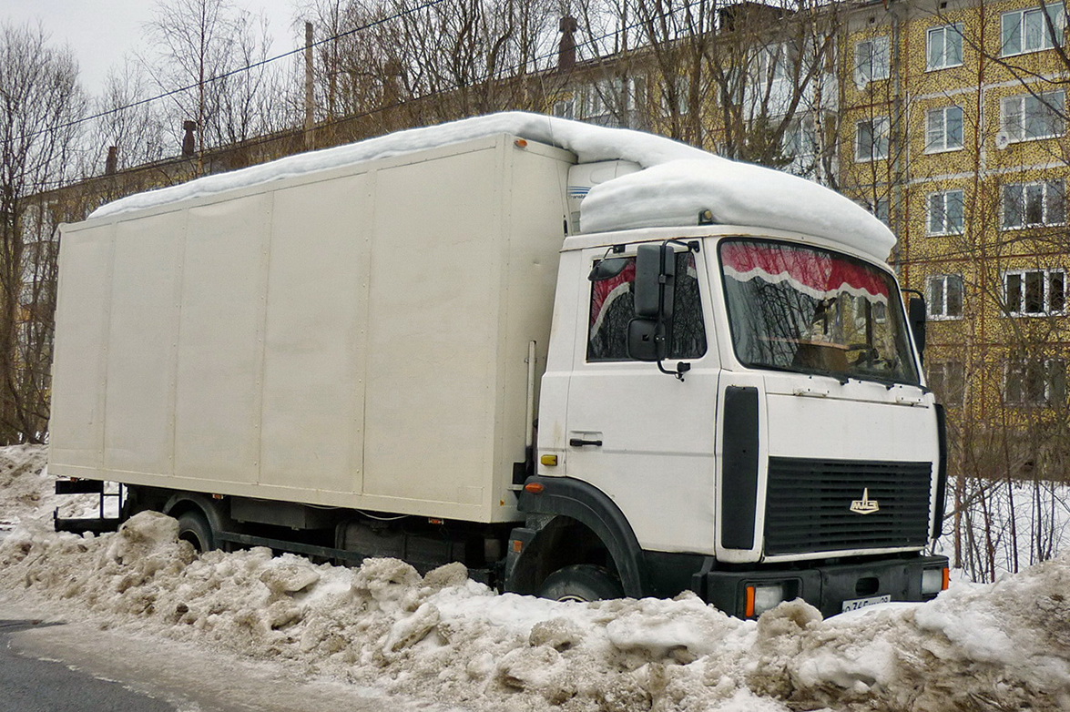 Архангельская область, № О 365 КМ 29 — МАЗ-437041 "Зубрёнок"