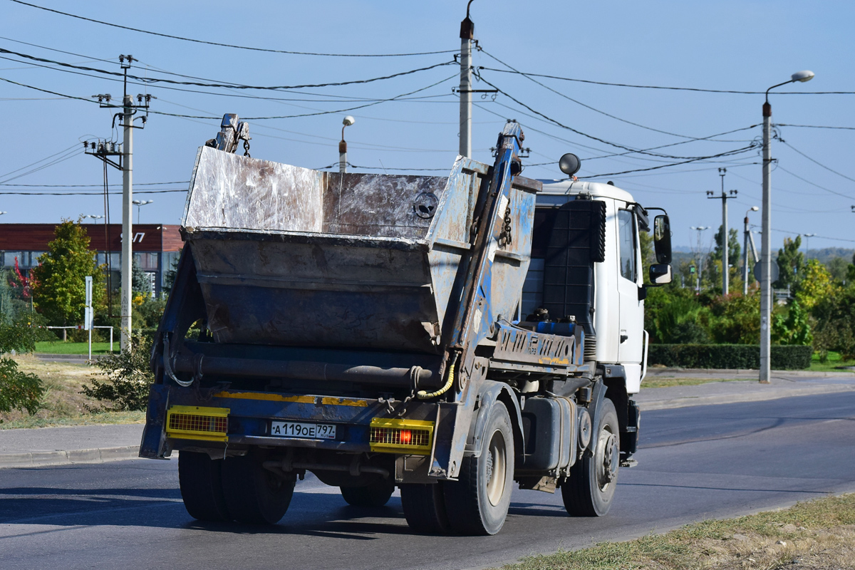 Волгоградская область, № А 119 ОЕ 797 — МАЗ-555025