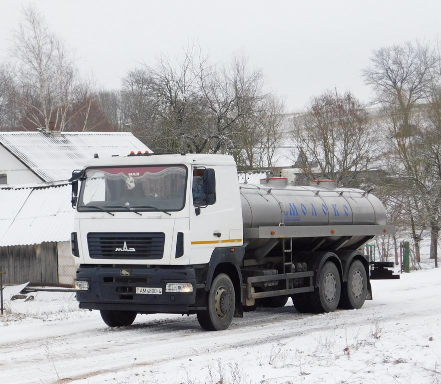 Гродненская область, № AM 4800-4 — МАЗ-6312C3