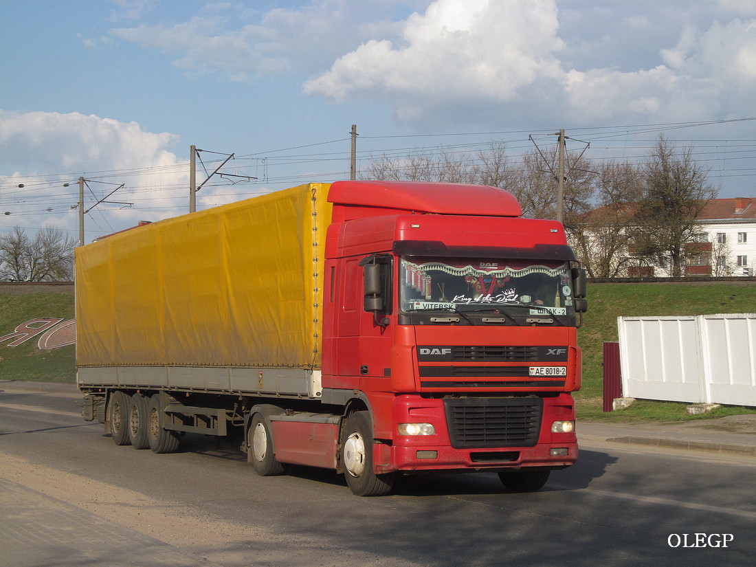 Витебская область, № АЕ 8018-2 — DAF XF95 FT