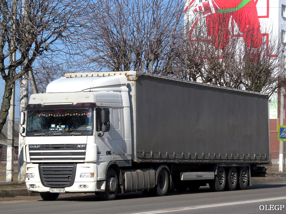 Витебская область, № АІ 1186-2 — DAF XF105 FT