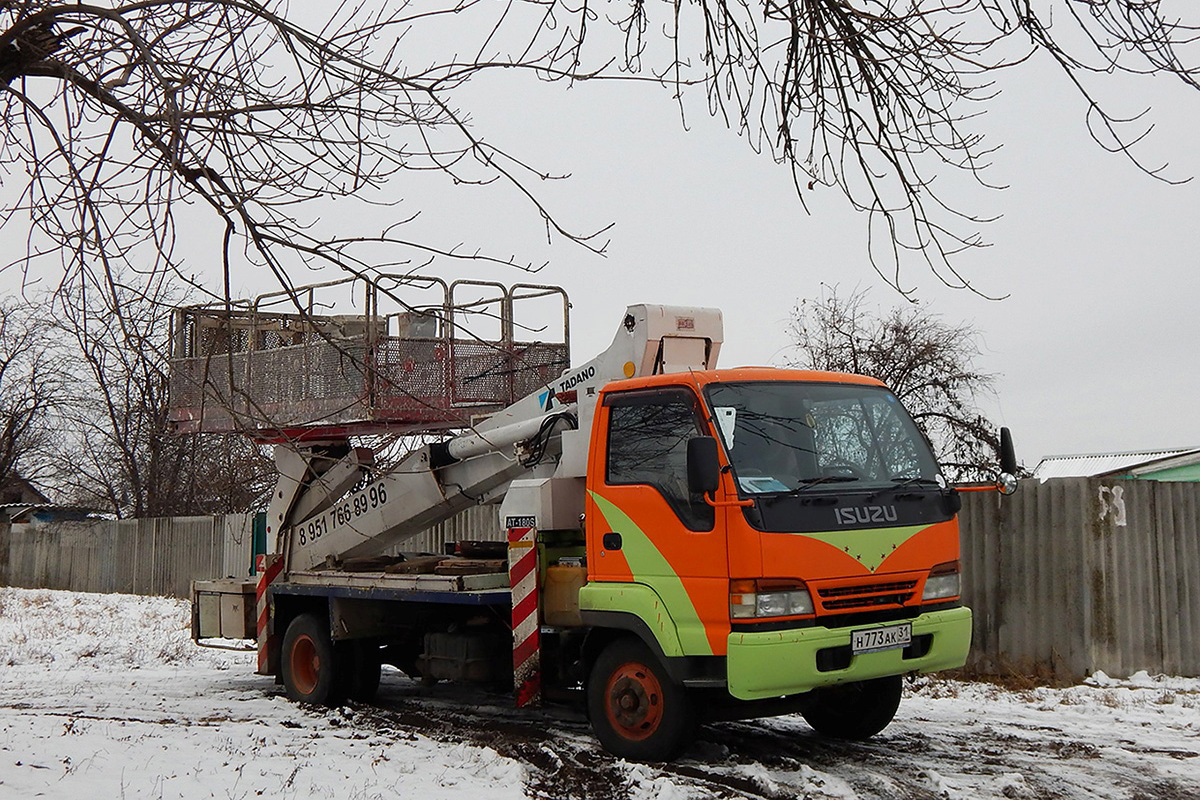 Белгородская область, № Н 773 АК 31 — Isuzu Forward (общая модель)