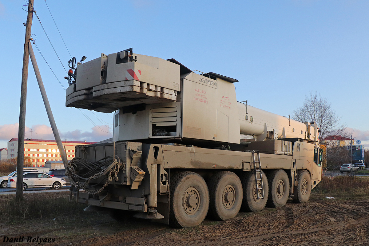 Коми, № В 902 ОМ 11 — Terex / Demag